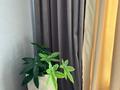 1-комнатная квартира · 40 м² · 12/20 этаж, Орынбор 44/2 — Туран 44/2-Орынбор за 18 000 〒 в Астане, Есильский р-н — фото 11