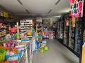 Продуктовый магазин и кафе-бар · 145 м², бағасы: 90 млн ₸ в Кордае — фото 5
