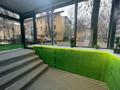 Еркін · 240 м², бағасы: 270 млн ₸ в Алматы, Алмалинский р-н — фото 8