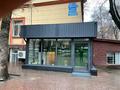 Еркін · 240 м², бағасы: 270 млн ₸ в Алматы, Алмалинский р-н — фото 12
