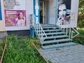 Свободное назначение • 45 м² за 23 млн 〒 в Усть-Каменогорске — фото 10