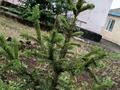 Отдельный дом · 4 комнаты · 150 м² · 10 сот., Сейфуллин 82 — Сандық дүкенінің маңайы за 29 млн ₸ в Кояндах — фото 18