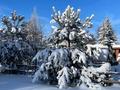 Жеке үй · 4 бөлме · 129.1 м² · 7 жүзд., С/к Коммунальник-1 24, бағасы: 37 млн ₸ в Актобе — фото 51