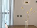 4-бөлмелі пәтер · 150 м² · 4/6 қабат, Наурыз-2 15-27, бағасы: 1.6 млн ₸ в Алматы, Бостандыкский р-н — фото 27