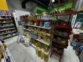 Супермаркет 200кв.м действуший бизнесс, 200 м² за 170 млн 〒 в Астане, Есильский р-н — фото 11