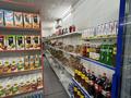 Магазины и бутики · 100 м² за 200 000 ₸ в Кендале — фото 4