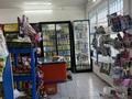 Магазины и бутики · 100 м² за 200 000 ₸ в Кендале — фото 5