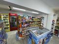 Магазины и бутики · 50 м² за 400 000 ₸ в Алматы, Бостандыкский р-н — фото 6
