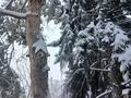 Жеке үй · 5 бөлме · 339 м² · 8.8 жүзд., Тастыбұлақ ш/а., бағасы: 150 млн ₸ в Алматы, Наурызбайский р-н — фото 19