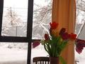 Жеке үй · 5 бөлме · 339 м² · 8.8 жүзд., Тастыбұлақ ш/а., бағасы: 150 млн ₸ в Алматы, Наурызбайский р-н — фото 21