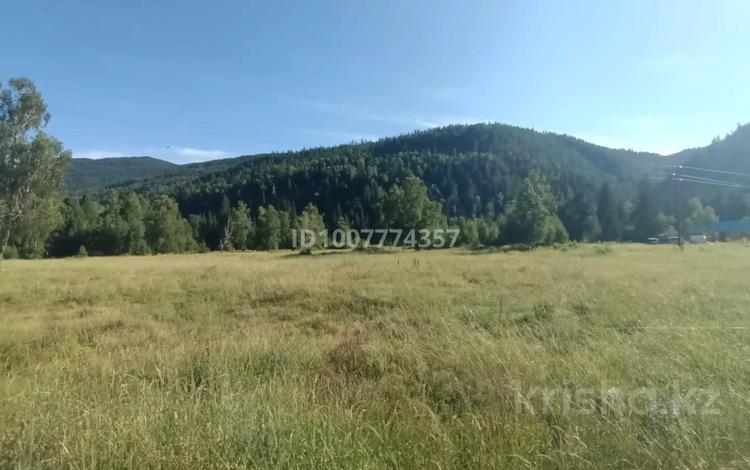 Жер телімі · 50 сотық, Катон-Қарагай, бағасы: 15 млн ₸ в  — фото 2