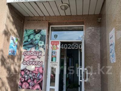 Магазины и бутики · 116.8 м² за 56 млн ₸ в Астане, Алматы р-н