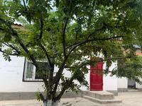 1-комнатная квартира · 40 м² · 1/1 этаж, ул. Арыстан Баба 93/95 за 8 000 〒 в Туркестане