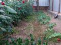 Жеке үй · 6 бөлме · 180 м² · 6 жүзд., Қазыбек би 2А 1, бағасы: 13.7 млн ₸ в Шардара — фото 5