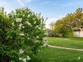 Жеке үй · 8 бөлме · 700 м² · 18 жүзд., Бағанашыл ш/а. 12, бағасы: 2 млн ₸ в Алматы, Бостандыкский р-н — фото 17