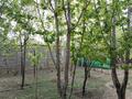Жеке үй · 5 бөлме · 120 м² · 8 жүзд., Бозарық ш/а 156 — Школа 131, бағасы: 49 млн ₸ в Шымкенте, Абайский р-н — фото 6