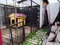 Жеке үй · 4 бөлме · 129 м² · 2.5 жүзд., Муканова 14, бағасы: 60 млн ₸ в Петропавловске — фото 5