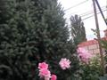 Отдельный дом · 4 комнаты · 90 м² · 5 сот., Бирлик — Алтынсарина за 42 млн ₸ в Жанатурмысе — фото 4