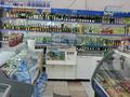Свободное назначение · 50 м² за 330 000 ₸ в Караганде, Алихана Бокейханова р-н — фото 6