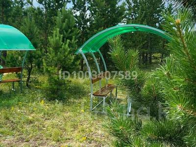 Дача · 1 комната · 30 м², Акколь — Аккольский лесхоз за 45 000 ₸ в Астане