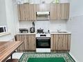 2-комнатная квартира · 53 м² · 1/5 этаж, мкр Кулагер, Серикова за ~ 33 млн ₸ в Алматы, Жетысуский р-н — фото 11