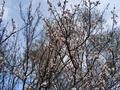 Жеке үй · 4 бөлме · 110 м² · , Микрорайон Геолог — Суйншы, бағасы: 40 млн ₸ в Атырау, мкр Авангард-2 — фото 8