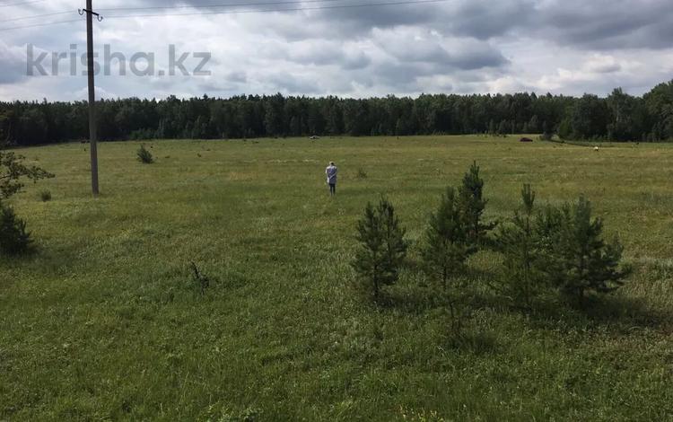 Жер телімі 10 сотық, Щучинск, бағасы: 8 млн 〒 — фото 2