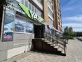 2-бөлмелі пәтер · 52.8 м² · 9/9 қабат, Красина 11, бағасы: 26.5 млн ₸ в Усть-Каменогорске — фото 51