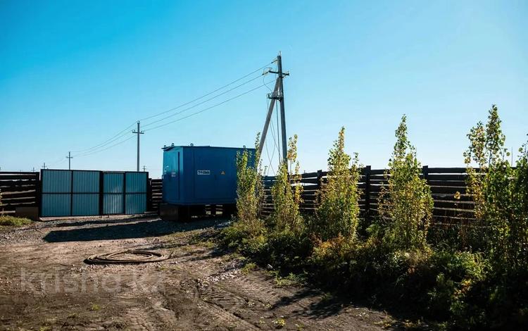 Участок · 42 сотки, Косшы за 63 млн 〒 — фото 3