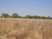 Участок · 5 га, АКХ Казмис 1477 за 150 млн ₸ в Кемертогане