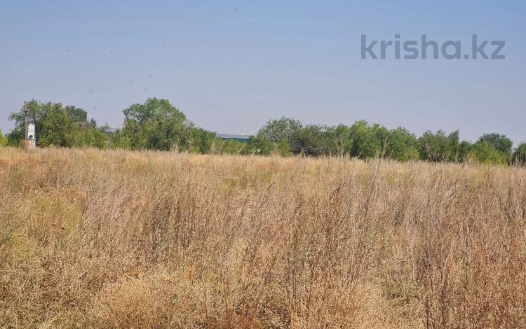 Участок · 5 га, АКХ Казмис 1477 за 180 млн 〒 в Кемертогане — фото 2