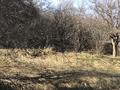 Участок · 13 соток, мкр Каменское плато за 17.9 млн ₸ в Алматы, Медеуский р-н — фото 13