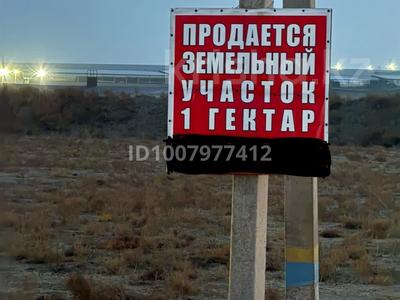 Участок · 1 га, Бадам за 20 млн 〒