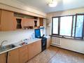 2-комнатная квартира · 55 м² · 2/5 этаж, ИЛЯЕВА — Рыскулбекова за 19 млн ₸ в Шымкенте, Аль-Фарабийский р-н — фото 10