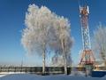 Отдельный дом · 10 комнат · 600 м² · 33 сот., Новая 2/1 за ~ 65 млн ₸ в Ушановском — фото 20