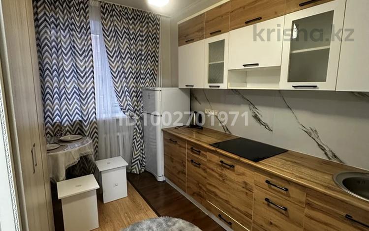 1-бөлмелі пәтер · 30 м², Лесная Подяна 23 — Лесная Поляна 23, бағасы: 13 000 ₸ в Косшы — фото 37