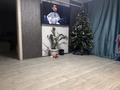 Отдельный дом · 3 комнаты · 60 м² · 4 сот., Чернышевского 49 за 25 млн ₸ в Семее — фото 4