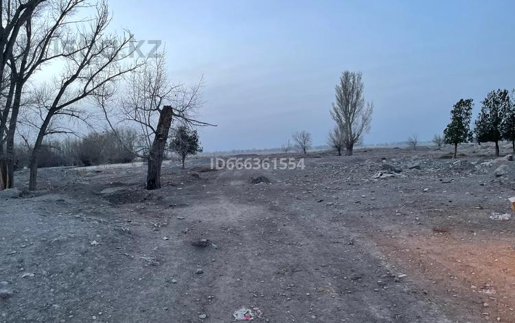 Участок · 20 соток, Шарын за 10 млн 〒 — фото 28