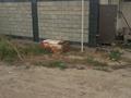 Жеке үй · 3 бөлме · 60 м² · 9 жүзд., Аксарай 1 — Мустафа Озтюрк, бағасы: 20 млн ₸ в  — фото 3