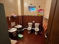 Отдельный дом · 9 комнат · 250 м² · 10 сот., мкр Алгабас 15 — Фариза Онгарсынова за 145 млн ₸ в Алматы, Алатауский р-н — фото 14