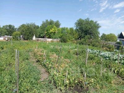 Саяжай · 2 бөлме · 25 м² · 12 жүзд., Шапагат 330, бағасы: 6 млн ₸ в им. Касыма кайсеновой