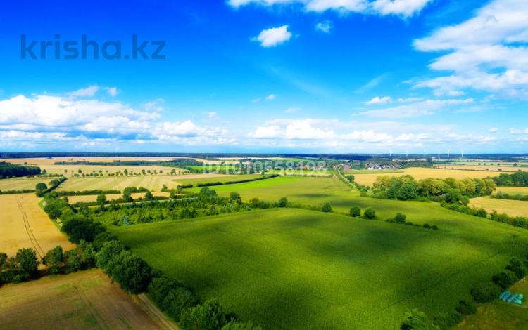 Жер телімі · 2 га, Каратурык, бағасы: 3 млн 〒 — фото 2