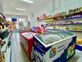 Магазины и бутики, образование · 240 м² за ~ 77.8 млн 〒 в Таразе — фото 15