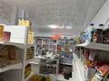 Продуктовый магазин · 80 м², бағасы: ~ 11.1 млн ₸ в Шымкенте, Каратауский р-н — фото 5