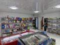 Продуктовый магазин · 80 м², бағасы: ~ 11.1 млн ₸ в Шымкенте, Каратауский р-н — фото 7