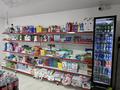 Продуктовый магазин · 80 м², бағасы: ~ 11.1 млн ₸ в Шымкенте, Каратауский р-н — фото 8