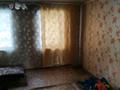 Отдельный дом · 2 комнаты · 49.2 м² · 4.94 сот., Парковая 113 за 23 млн 〒 в Петропавловске — фото 14