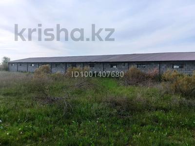 Ферма Форелевое хозяйство · 4280 м² за 40 млн ₸ в 