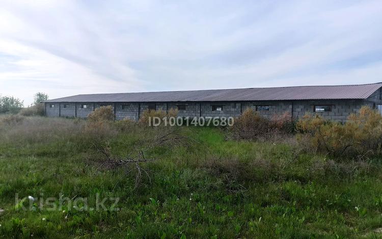 Ферма Форелевое хозяйство · 4280 м² за 37 млн ₸ в  — фото 8