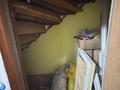 3-комнатная квартира · 90 м² · 1/6 этаж, 5 Апреля 34а за 28 млн ₸ в Костанае — фото 10